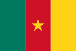 Cameroon-flag