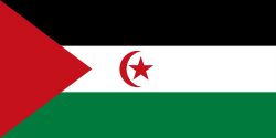 Western Sahara-flag